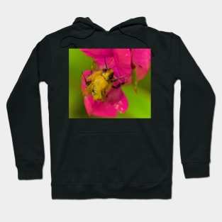 BEE PASSION Hoodie